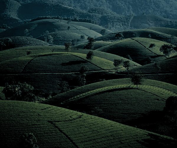 a84a1d1f-7707-44d6-b82d-e0a7e1508a84